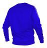 Толстовка RAY, модель Классик без капюшона (Unisex), василек размер 46 (S)